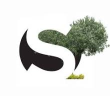 Restaurant - Brasserie Frontignan La Brasserie des Sens